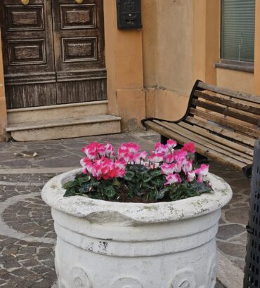 miglioramenti-pianella-cerratina-castellana (6)