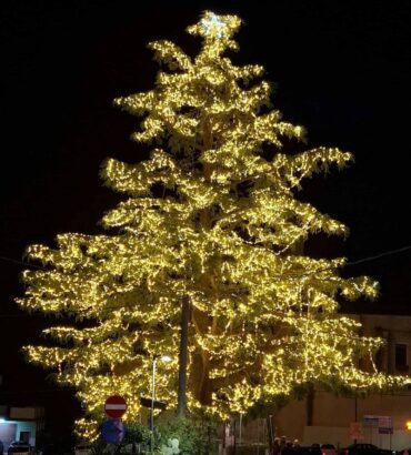 natale-pianella-2025 (18)